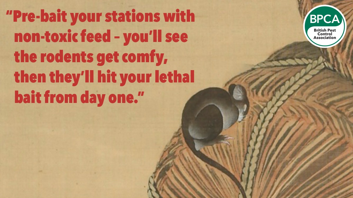 Art paw c1 Art paw c1